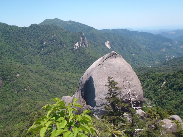 d0032262_1111526.jpg