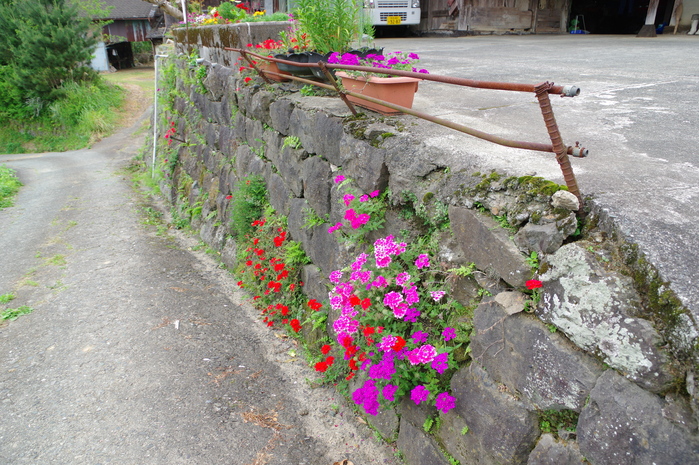 a0260570_10365427.jpg