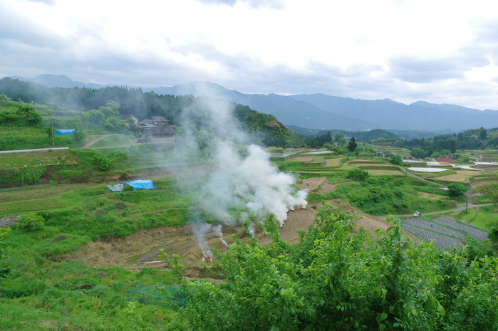 a0260570_1037211.jpg
