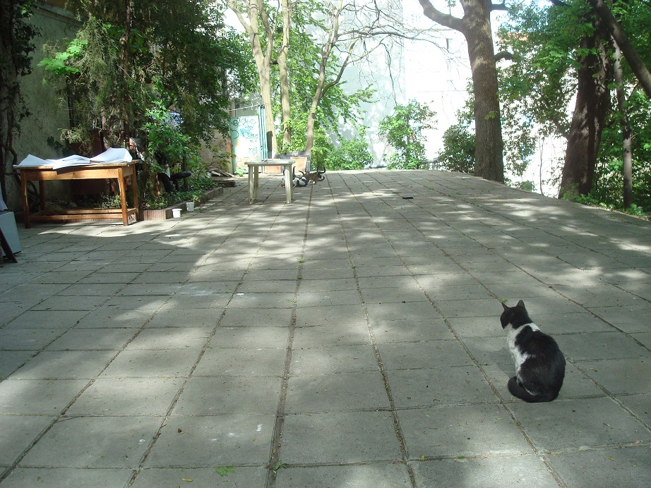 a0123372_82274.jpg