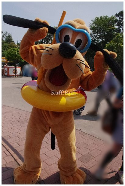 首かしげるとカワイイって知ってるプルート（5/17イン日記その1
