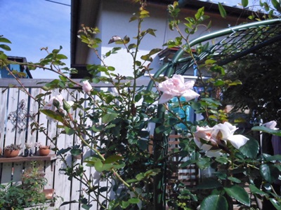 b0096584_2161550.jpg