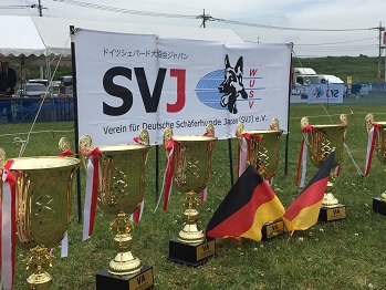 SVJ Siegerschau2015 春本部展覧会_e0100584_0353678.jpg