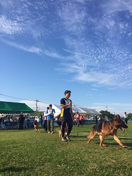 SVJ Siegerschau2015 春本部展覧会_e0100584_042063.jpg