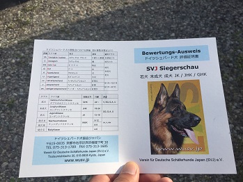 SVJ Siegerschau2015 春本部展覧会_e0100584_0432285.jpg