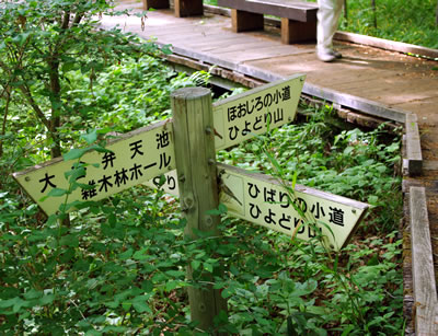 b0123486_66881.jpg