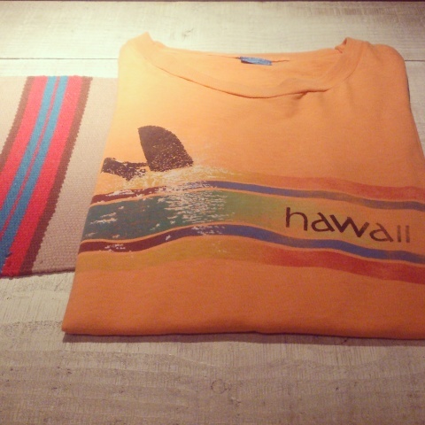 1980s \" SCREEN STARS \" 100% COTTON -HAWAII- SOUVENIR Tee-SHIRTS ._d0172088_18021292.jpg