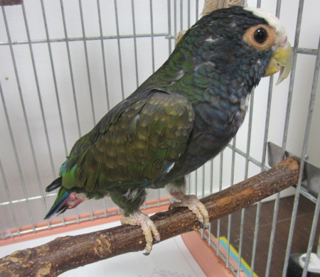 f0234590_13223684.png