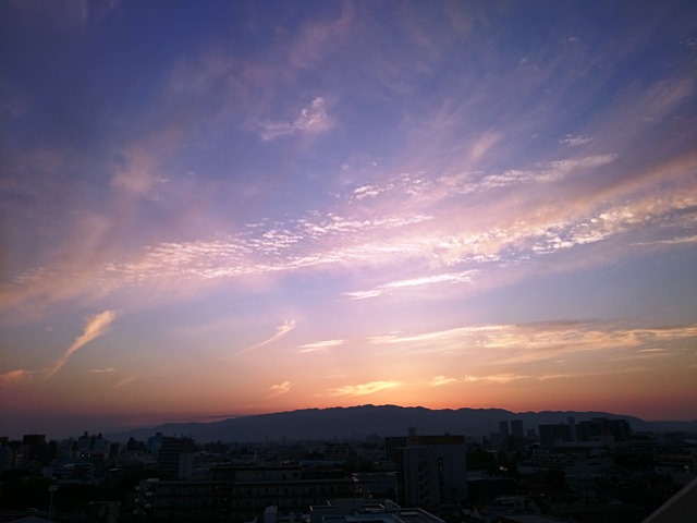 e0167593_1175934.jpg