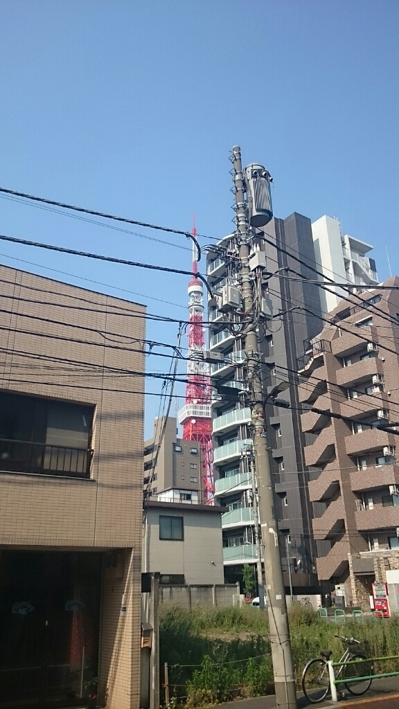 a0119795_17564100.jpg