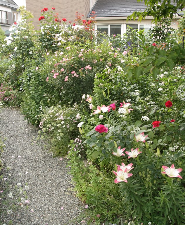 f0054197_1044444.jpg