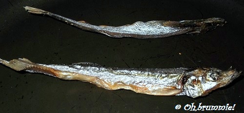 c0172202_34252.jpg
