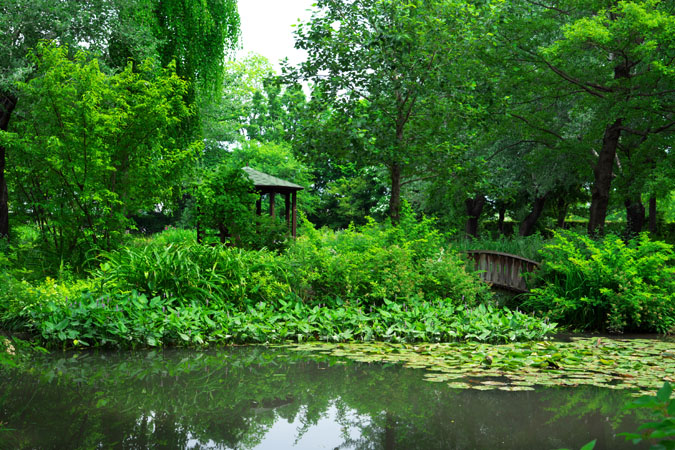 a0263109_15257.jpg