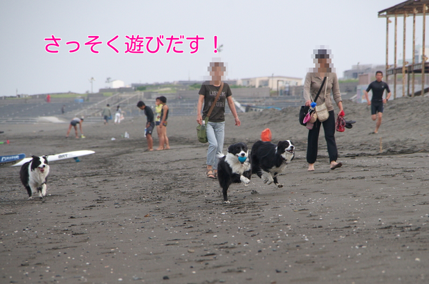 a0232619_1532671.png