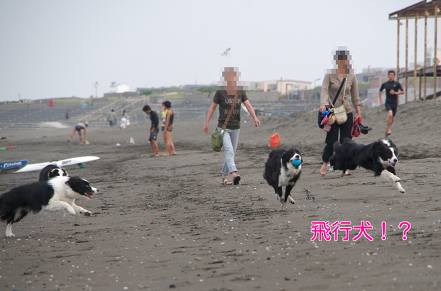 a0232619_1534339.png
