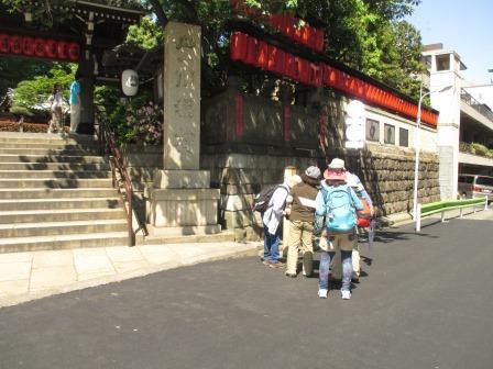平成27年5月10日 矢倉沢往還道 赤坂見附 二子玉川 の下見を実施 秦野市観光ボランティアの会