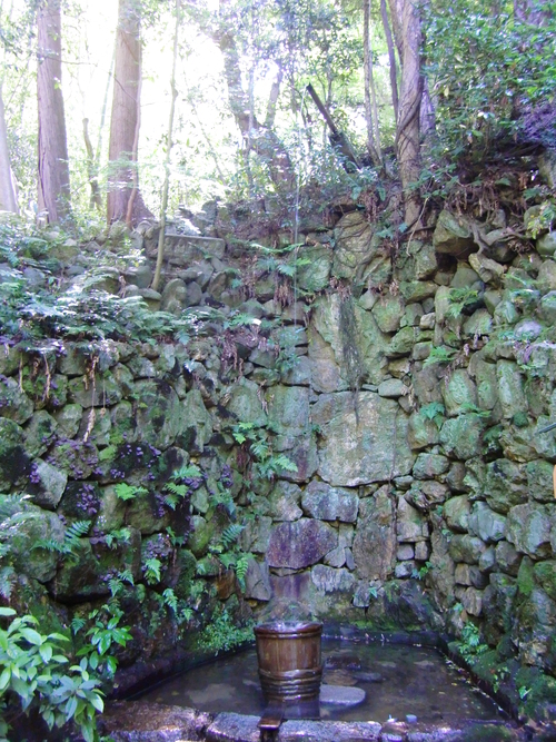 長楽寺（京都府京都市東山区）_c0219820_22412091.jpg