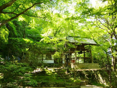 長楽寺（京都府京都市東山区）_c0219820_22414344.jpg