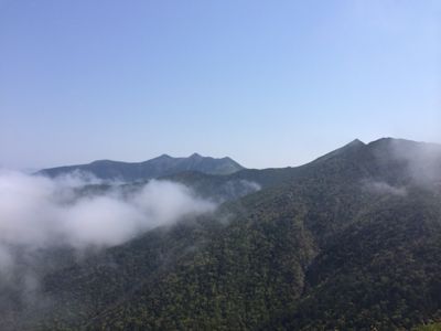 f0147821_028457.jpg
