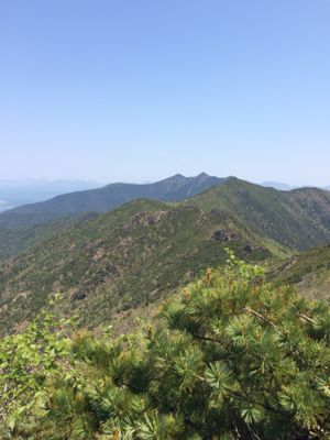 f0147821_0284938.jpg