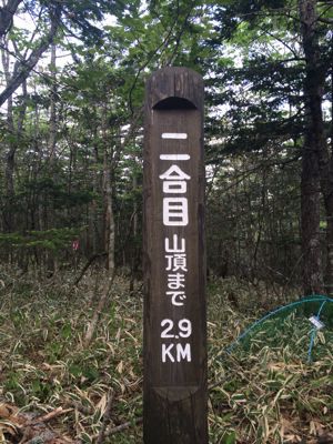 f0147821_09119.jpg