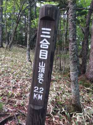 f0147821_0924.jpg