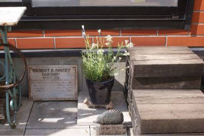 f0170524_9221069.jpg