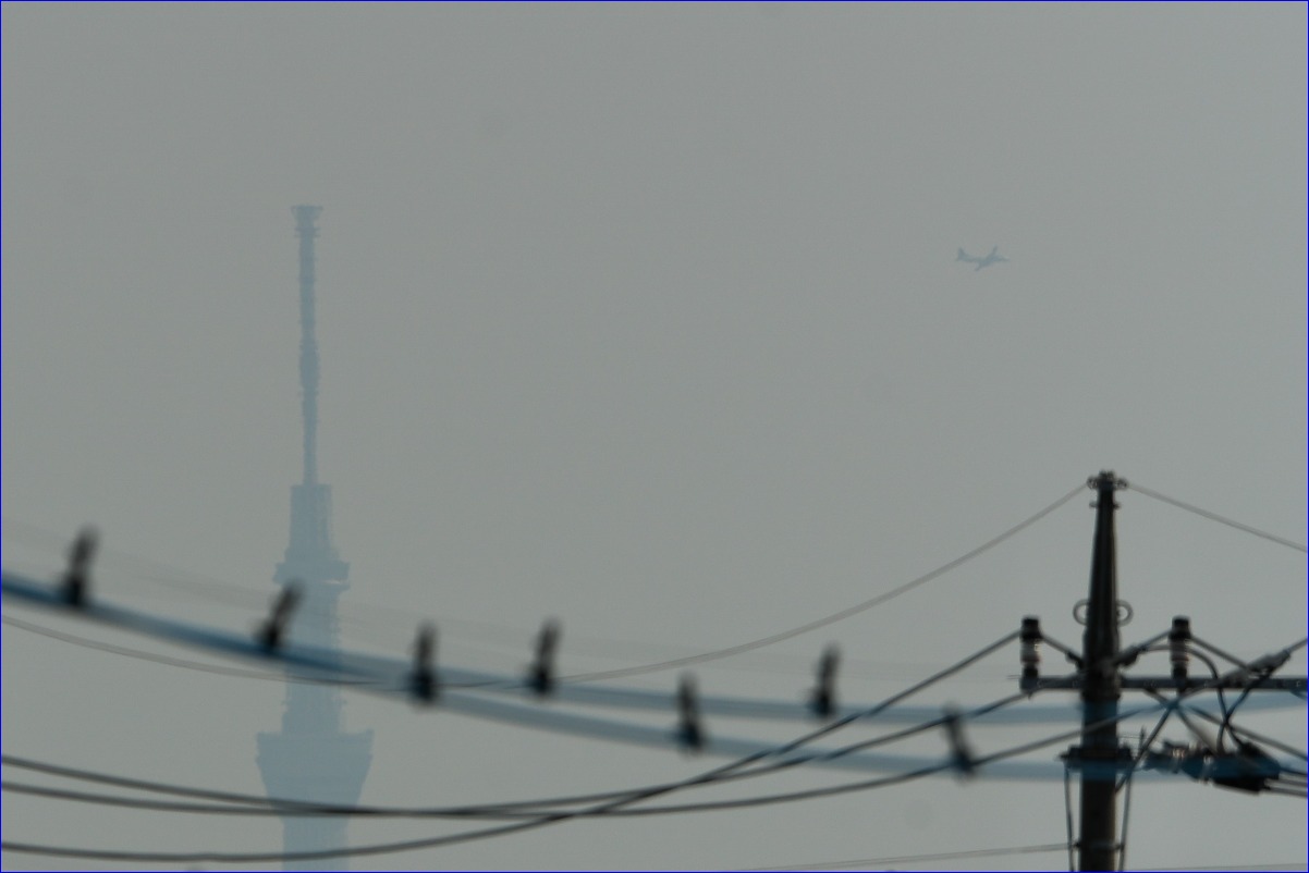 d0137627_1132028.jpg