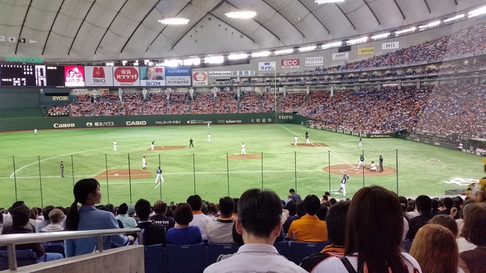 セパ交流戦_a0019032_9131862.jpg