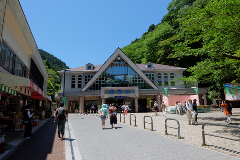 高尾山から一丁平へゆるり歩き♪　〜５月13日(水)〜　その①_b0281732_8525274.jpg