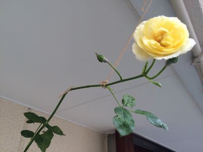 f0327534_14411125.jpg