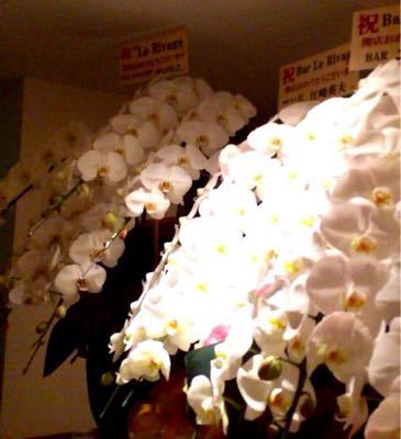 2人の寅が銀座で開店‼︎_d0011635_1840784.jpg
