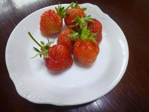 c0343936_2003692.jpg