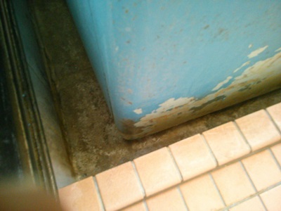 d0178136_934161.jpg
