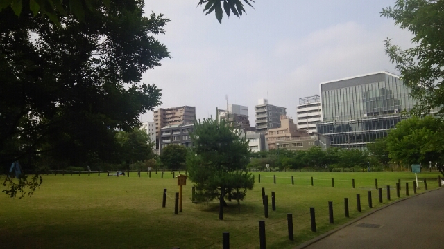 中目黒公園 目黒川船入場 目黒区 5月28日 猫好き写真館