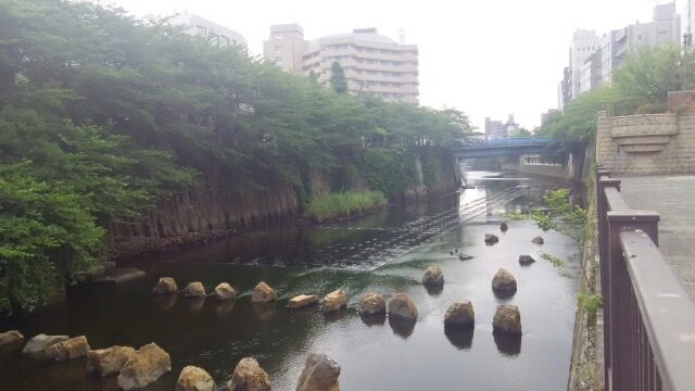 中目黒公園 目黒川船入場 目黒区 5月28日 猫好き写真館