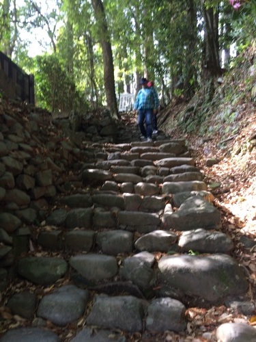 神社紀行（３）　熊野本宮大社_d0080747_13570273.jpg