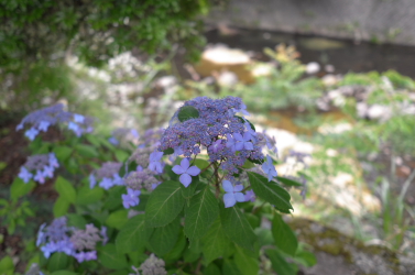 f0214858_81799.jpg