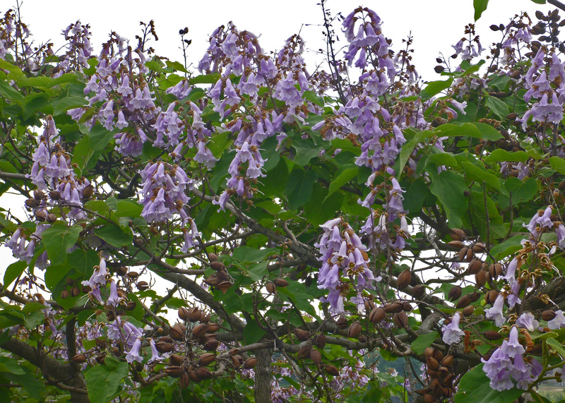 b0277159_9313429.jpg