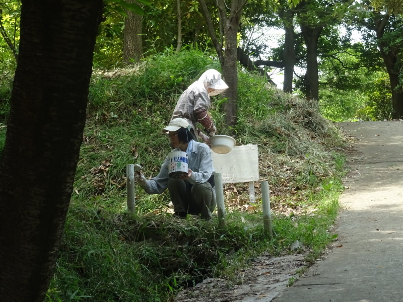 資材置き場屋根完成 in うみべの森_c0108460_22012134.jpg