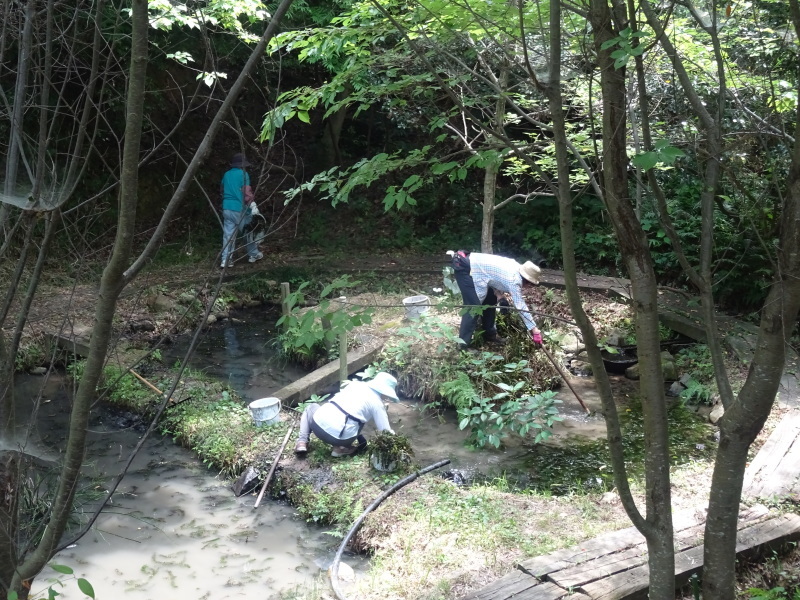 資材置き場屋根完成 in うみべの森_c0108460_22012711.jpg