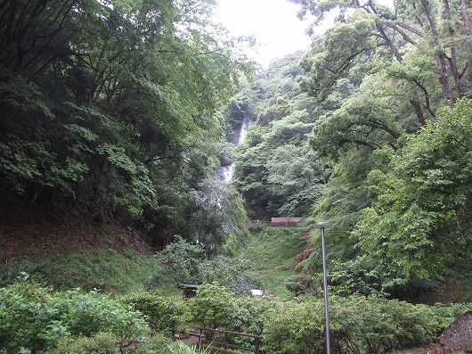b0145863_19551554.jpg