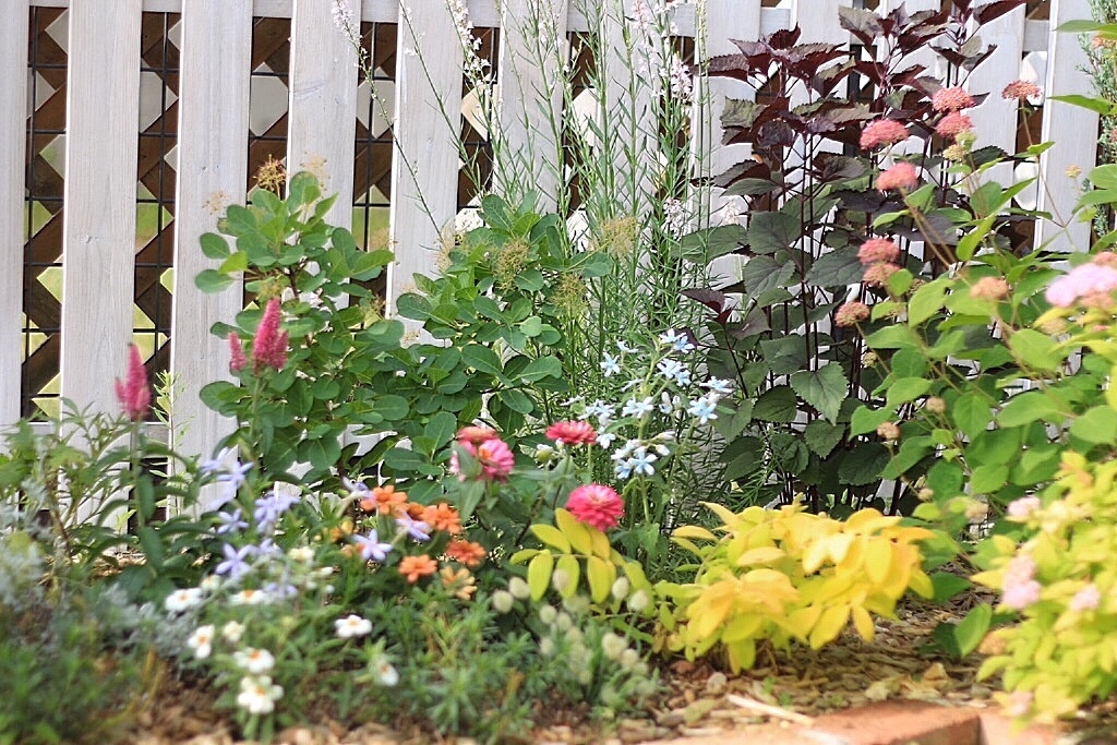 フロントガーデン 花壇を夏の花に植え替えました Photo Asobi