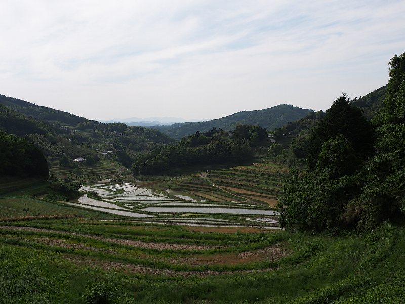 d0128465_1438487.jpg