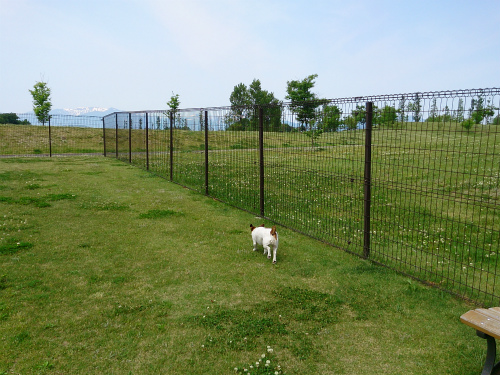 みちのく湖畔公園のドッグラン_e0106372_1001250.jpg