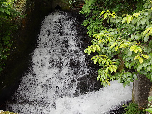 b0088173_20224422.jpg