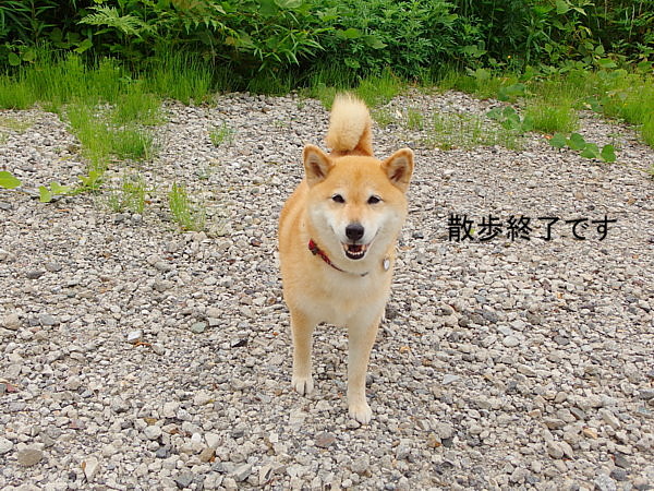 b0088173_2028837.jpg