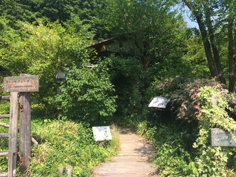 ターシャ チューダーの庭 花フェスタ記念公園 夏目明美作品集 油絵 水彩画