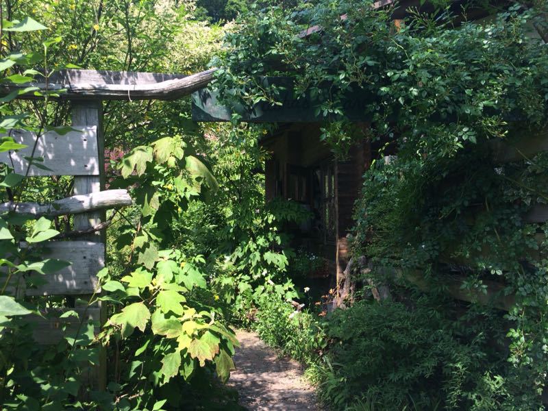 ターシャ チューダーの庭 花フェスタ記念公園 夏目明美作品集 油絵 水彩画
