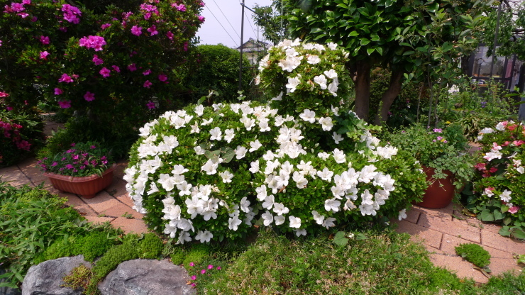 c0212083_21565547.jpg